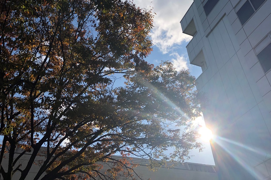 紅葉②.jpg